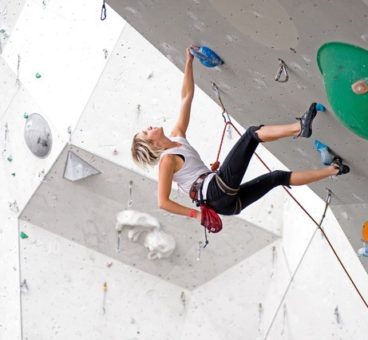 Summit Up Climbing Wall